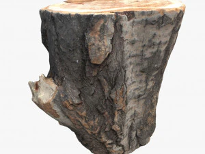 yuvarlak k&uuml;t&uuml;k 3D Model