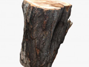 round log 3D Model