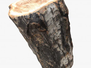 round log 3D Model