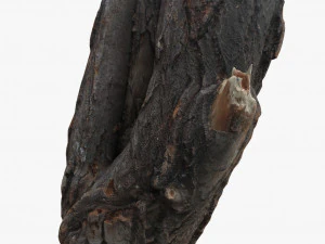 round log 3D Model