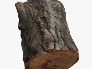 round log 3D Model