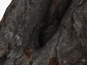 round log 3D Model