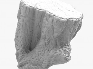 round log 3D Model
