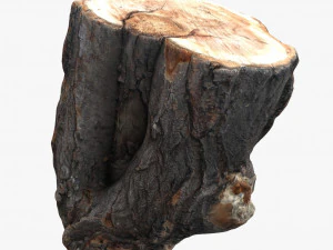 round log 3D Model