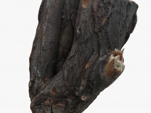 round log 3D Model