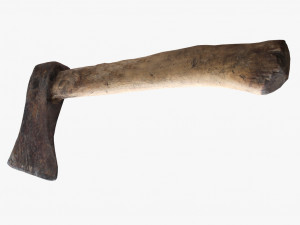 worn axe Modèle 3D