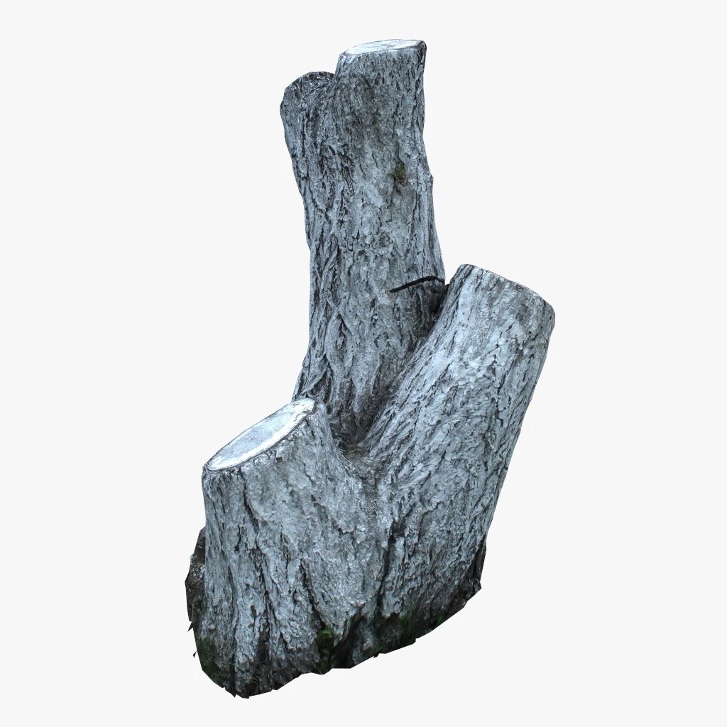 painted tree trunk 3D Model .c4d .max .obj .3ds .fbx .stl .blend 