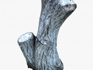 painted tree trunk Modelo 3D