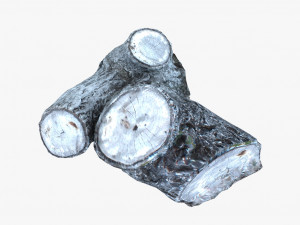 painted tree trunk Modelo 3D