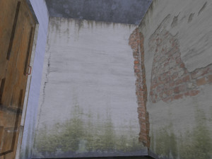 abandoned house 3D-Modell