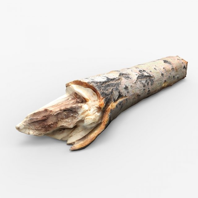 driftwood 3D Model .c4d .max .obj .3ds .fbx .stl .blend 
