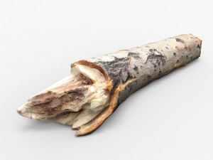 driftwood 3D Model