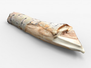 driftwood 3D Model