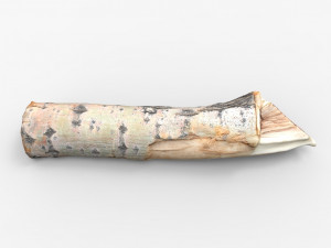 driftwood 3D Model
