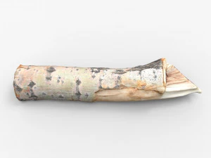 driftwood 3D Model