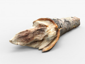 driftwood 3D Model