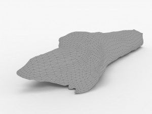 driftwood 3D Model