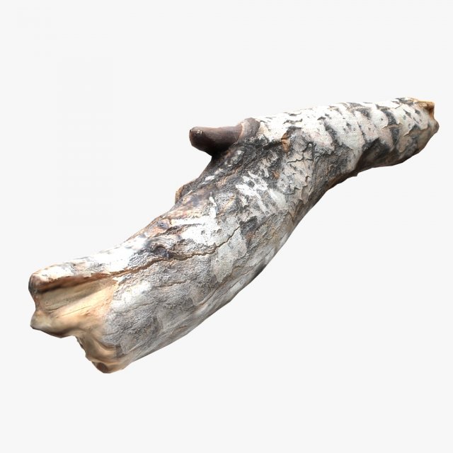 driftwood 2 model 3D 模型 .c4d .max .obj .3ds .fbx .stl .blend 