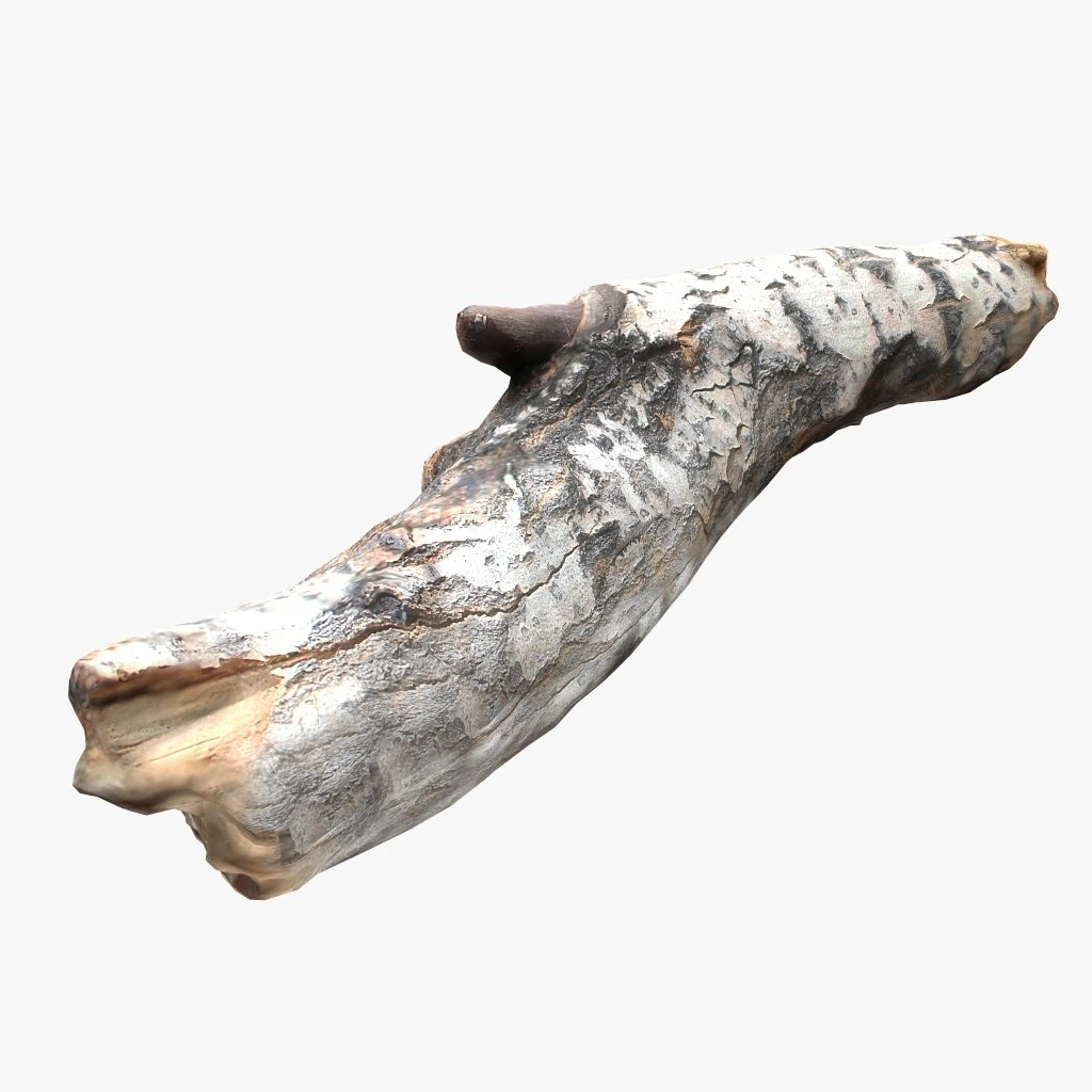 driftwood 2 model 3D Model .c4d .max .obj .3ds .fbx .stl .blend 