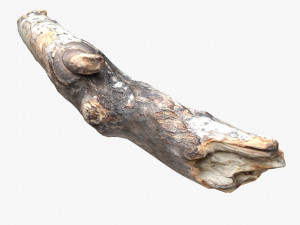 driftwood 2 model 3D 模型