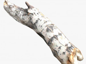 driftwood 2 model 3D Model