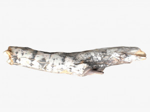 driftwood 2 model 3D 模型