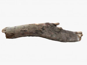 driftwood 2 model 3D Model