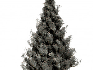 spruce tree snow model 3D मॉडल