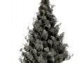 Spruce Tree Snow model 3D Model