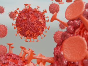 corona virus 3D Model