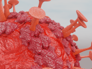 corona virus 3D Model