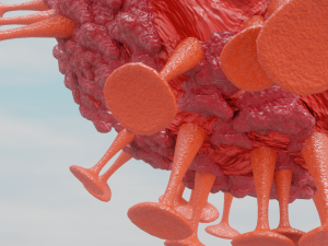 corona virus 3D Model
