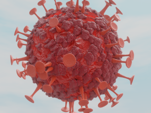 corona virus 3D Model