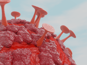 corona virus 3D Model
