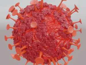 corona virus 3D Model