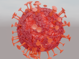 corona virus 3D Model