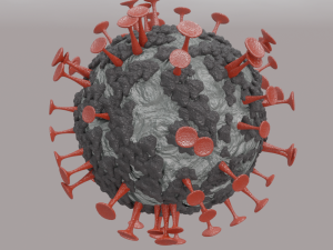 corona virus 3D Model