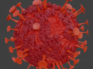 corona virus 3D Model