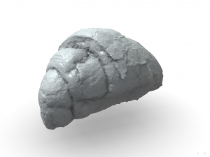 french croissant scan pbr model low-poly 3D Model