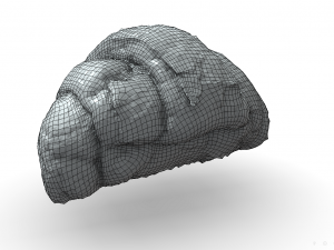 french croissant scan pbr model low-poly 3D Model