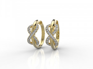 earring 324 jewelry Modelo de Impressão 3D
