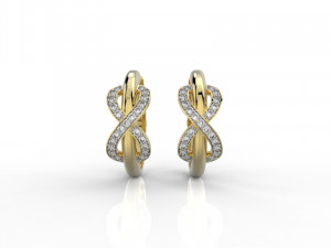 earring 324 jewelry 3D Baskı Modeli