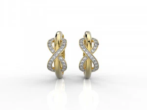 earring 324 jewelry 3D Print Model