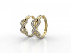 earring 324 jewelry 3D Print Model