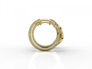 earring 324 jewelry 3D Print Model