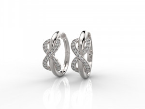 earring 324 jewelry 3D Baskı Modeli