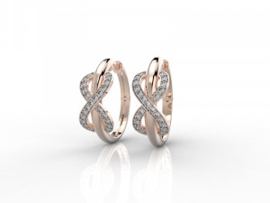 earring 324 jewelry 3D Baskı Modeli
