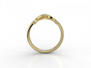 ring 364 jewelry 3D Print Model