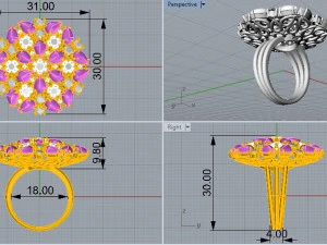 ring 001 jewelry 3D Print Model