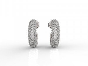earring 301 jewelry 3D Принт Модель